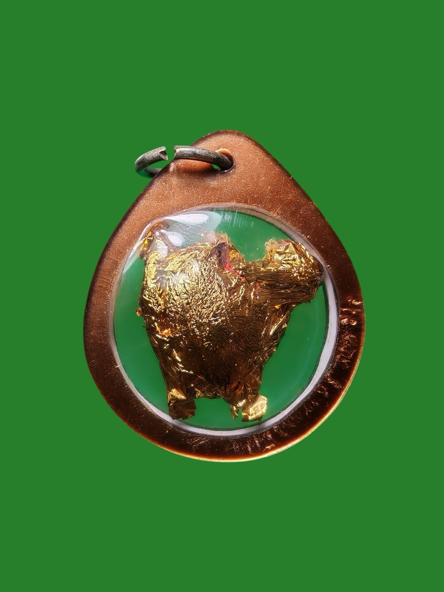 Luang Pu Yen Wat Sa Prieng Chai Nat Gan Thoop Coin